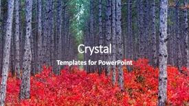  Presentation with autumn leaves - Theme enhanced with crimea ukraine europe beauty world background and a dark gray colored foreground