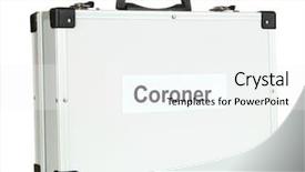  Presentation with silver fern black white flag - Audience pleasing PPT layouts consisting of criminalistics - silvery diplomat suitcase isolated backdrop and a white colored foreground