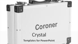  Presentation with silver fern black white flag - PPT layouts consisting of criminalistics - silvery diplomat suitcase isolated background and a white colored foreground