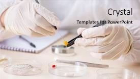  Presentation with lab - Audience pleasing theme consisting of criminologist working in the lab backdrop and a light gray colored foreground