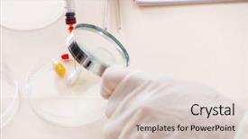  Presentation with lab - Slides consisting of criminologist working in the lab background and a lemonade colored foreground