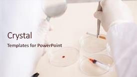  Presentation with lab animal mice - PPT layouts featuring criminologist working in the lab background and a  colored foreground