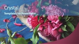  Presentation with paper - Amazing PPT theme having crimson - beautiful peonies and wrapping paper backdrop and a ocean colored foreground