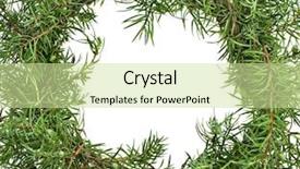  Presentation with frame - Cool new slide set with cristhmas tree - juniper wreath frame with copy backdrop and a soft green colored foreground