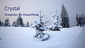  Presentation with cristmas - Slide deck consisting of cristmas - trees covered with hoarfrost background and a lemonade colored foreground