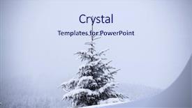  Presentation with snow covered trees and falling - Colorful theme enhanced with cristmas - trees covered with hoarfrost backdrop and a sky blue colored foreground