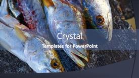  Presentation with fish - Colorful PPT layouts enhanced with croaker-corvina-fillet-fish backdrop and a ocean colored foreground