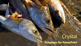  Presentation with fish - Slides enhanced with croaker-corvina-fillet-fish background and a tawny brown colored foreground