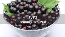  Presentation with currant - Beautiful PPT layouts featuring crockery with black currant isolated on a white background backdrop and a tawny brown colored foreground