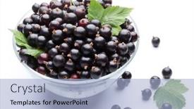  Presentation with currant - Audience pleasing presentation theme consisting of crockery with black currant isolated on a white background backdrop and a light blue colored foreground