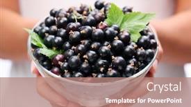  Presentation with currant - Slide deck featuring crockery with black currant in woman hands background and a coral colored foreground