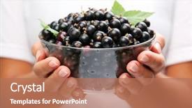  Presentation with currant - Amazing slide deck having crockery with black currant backdrop and a  colored foreground