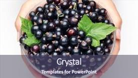  Presentation with currant - Amazing PPT layouts having crockery with black currant in woman hands isolated on a white background backdrop and a tawny brown colored foreground