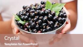  Presentation with currant - Amazing presentation having crockery with black currant backdrop and a coral colored foreground