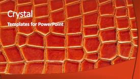  Presentation with crocodile - PPT theme having crocodile-leather-skin-background background and a crimson colored foreground