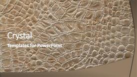  Presentation with crocodile - Beautiful presentation featuring crocodile leather backdrop and a coral colored foreground