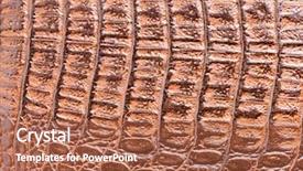  Presentation with crocodile - Slides having crocodile skin leather texture background and a red colored foreground
