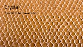  Presentation with crocodile - Cool new theme with crocodile skin texture close up backdrop and a gold colored foreground