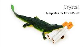  Presentation with crocodile - 