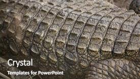  Presentation with crocodile - Amazing slides having crocodiles - abstract crocodile skin backdrop and a tawny brown colored foreground