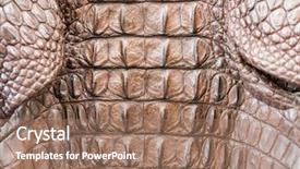  Presentation with crocodile - Audience pleasing PPT layouts consisting of crocodiles - crocodile skin texture backdrop and a coral colored foreground
