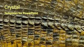  Presentation with crocodile - Audience pleasing PPT theme consisting of crocodiles - crocodile skin texture backdrop and a tawny brown colored foreground