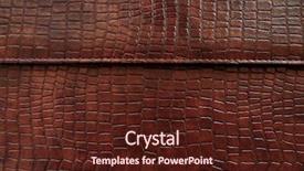  Presentation with crocodile - Slides consisting of crocodiles - leather with crocodile dressed texture background and a tawny brown colored foreground
