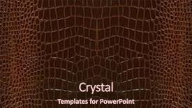  Presentation with diet for skin - Beautiful PPT theme featuring crocodiles - skin backdrop and a wine colored foreground