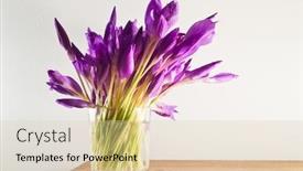  Presentation with wood - Amazing presentation having flowers vase - crocus flower bouquet on wood backdrop and a lemonade colored foreground