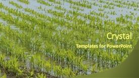  Presentation with flood - Amazing presentation design having crop damage - flood 2013 backdrop and a tawny brown colored foreground