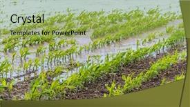  Presentation with agriculture - Slide set enhanced with crop damage - floods 2013 austria floods background and a yellow colored foreground