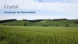  Presentation with crop - 