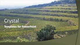  Presentation with crop - Audience pleasing PPT theme consisting of crop-in-a-vineyard-taormina backdrop and a violet colored foreground