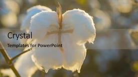  Presentation with automobile industry - PPT layouts having crop industry field macro early background and a coral colored foreground