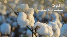  Presentation with industry 4.0 - Colorful PPT theme enhanced with crop industry field macro early backdrop and a coral colored foreground