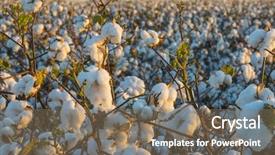  Presentation with crop - Amazing PPT theme having crop industry field macro early backdrop and a violet colored foreground