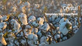  Presentation with industry partnerships - Slide set featuring crop industry field macro early background and a gray colored foreground