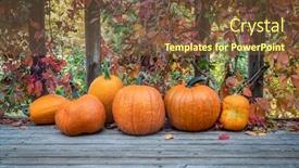  Presentation with fall colors - PPT theme having crop-of-pumpkins-and-vine background and a tawny brown colored foreground