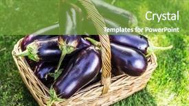  Presentation with wicker - Amazing slide set having crop plant purple - aubergines or eggplants in wicker backdrop and a seafoam green colored foreground