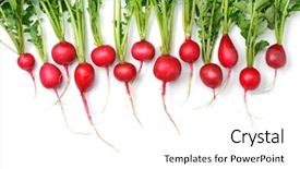  Presentation with chemistry leaves green leaf - Beautiful PPT theme featuring crop plant purple - bright red radishes with green backdrop and a white colored foreground