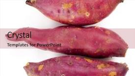  Presentation with potatoes plant - Colorful slide deck enhanced with crop plant purple - cooked whole sweet potatoes backdrop and a coral colored foreground