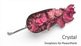  Presentation with beetroot - Cool new theme with crop plant purple - dried beetroot chips in scoop backdrop and a  colored foreground