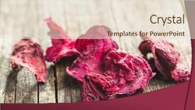  Presentation with dried banana chips - Cool new PPT theme with crop plant purple - dried beetroot chips on old backdrop and a lemonade colored foreground