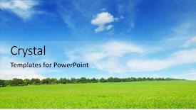  Presentation with purple spring - Slide set having crop plant purple - fresh spring clover field background and a light blue colored foreground