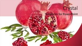  Presentation with pomegranate - PPT theme featuring crop plant purple - pomegranate isolated on the white background and a red colored foreground