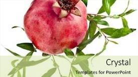  Presentation with pomegranate - Amazing theme having crop plant purple - pomegranate isolated on white backdrop and a soft green colored foreground