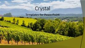  Presentation with crop - PPT theme enhanced with crop production - vineyard jurancon france background and a light blue colored foreground