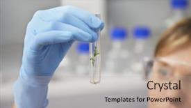  Presentation with blurred plants - Audience pleasing slide set consisting of crop protection - closeup of a blurred female backdrop and a coral colored foreground
