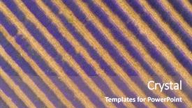  Presentation with lavender - Cool new slides with crop purple flower - aerial view of lavender field backdrop and a coral colored foreground