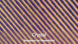  Presentation with aquaculture full of sea fish - Beautiful theme featuring crop purple flower - aerial view of lavender field backdrop and a coral colored foreground